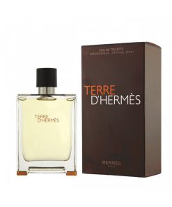 Nước hoa nam Terre D'Hermès EDT 100ml
